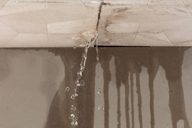 Professional Structural Drying technician working in Mount Morris, MI